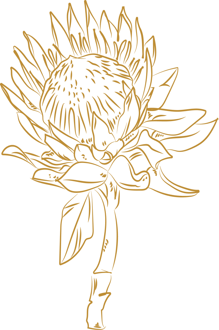 Bgt Lotus