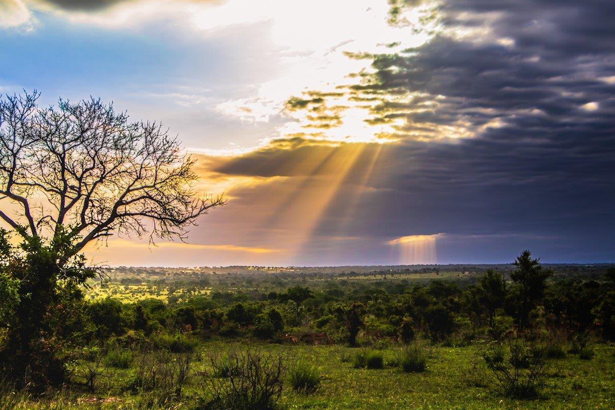 The sun's ray break through the cloud during another beautiful sunset watched from Sabi Sabi. 