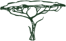 Bgt Tree Vector Bgt Tree Vector