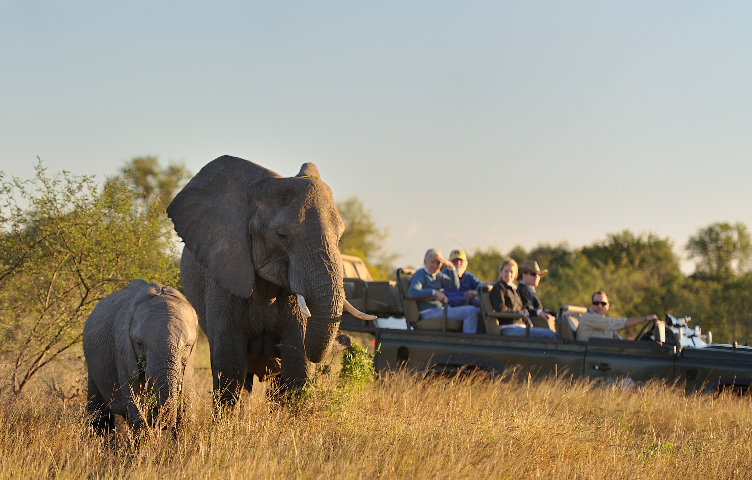 Elephant mother and calf seen during a game drive in the Sabi Sands.