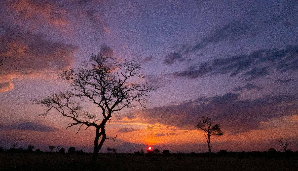 Sabi Sabi Rod Wyndham Sunset