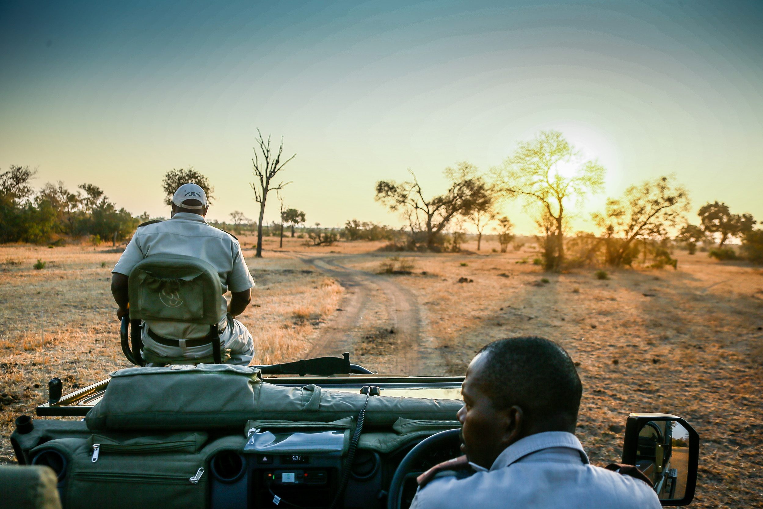 Sabi Sabi The Making Of A Ranger Safari Experience