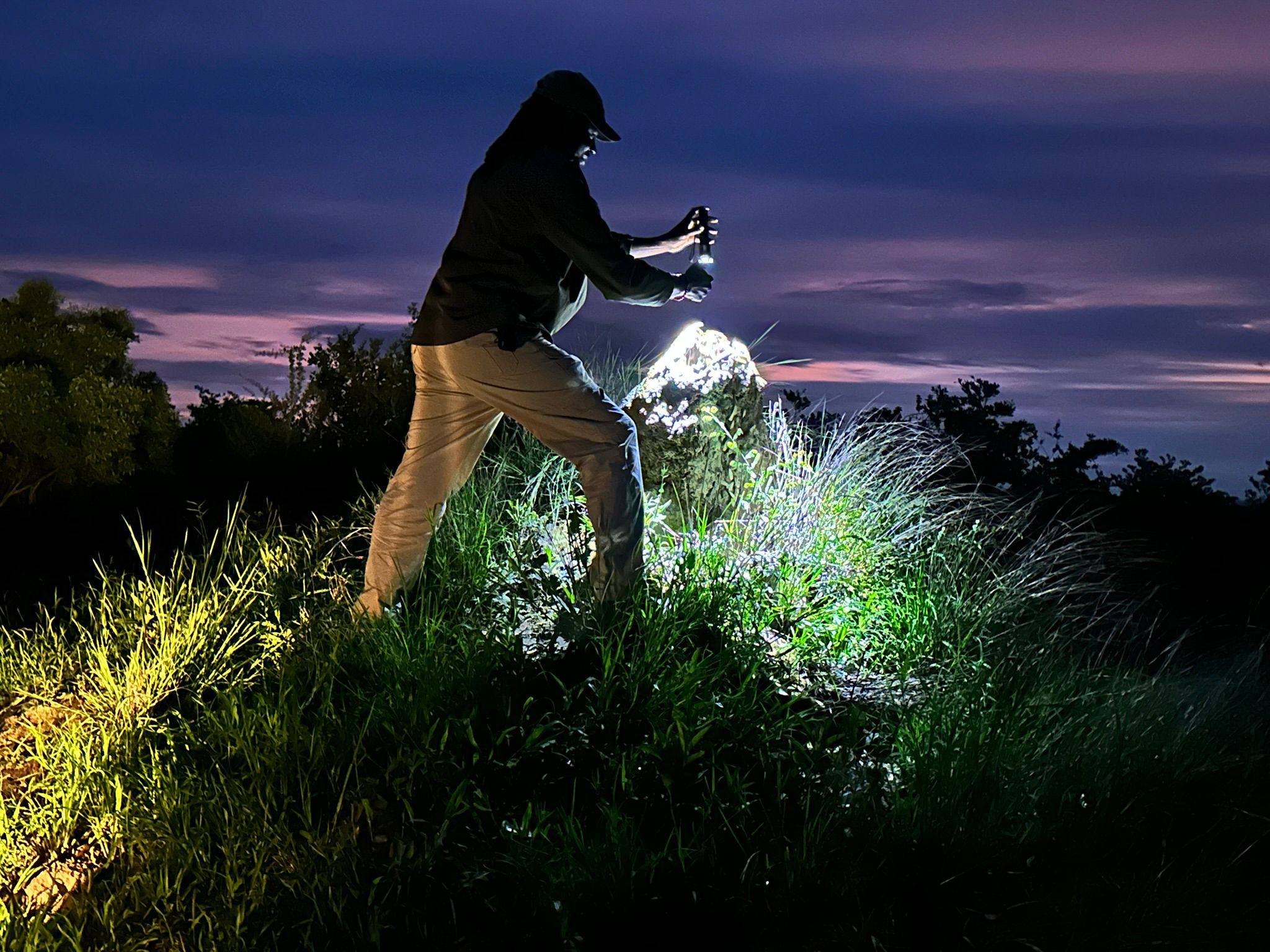 Taking a look inside a termite mound after dark. Taking a look inside a termite mound after dark.