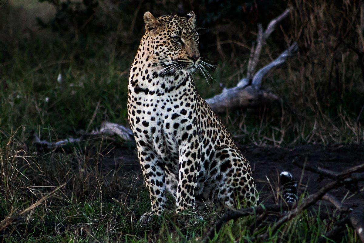 Makumu stands to attention. Makumu stands to attention.
