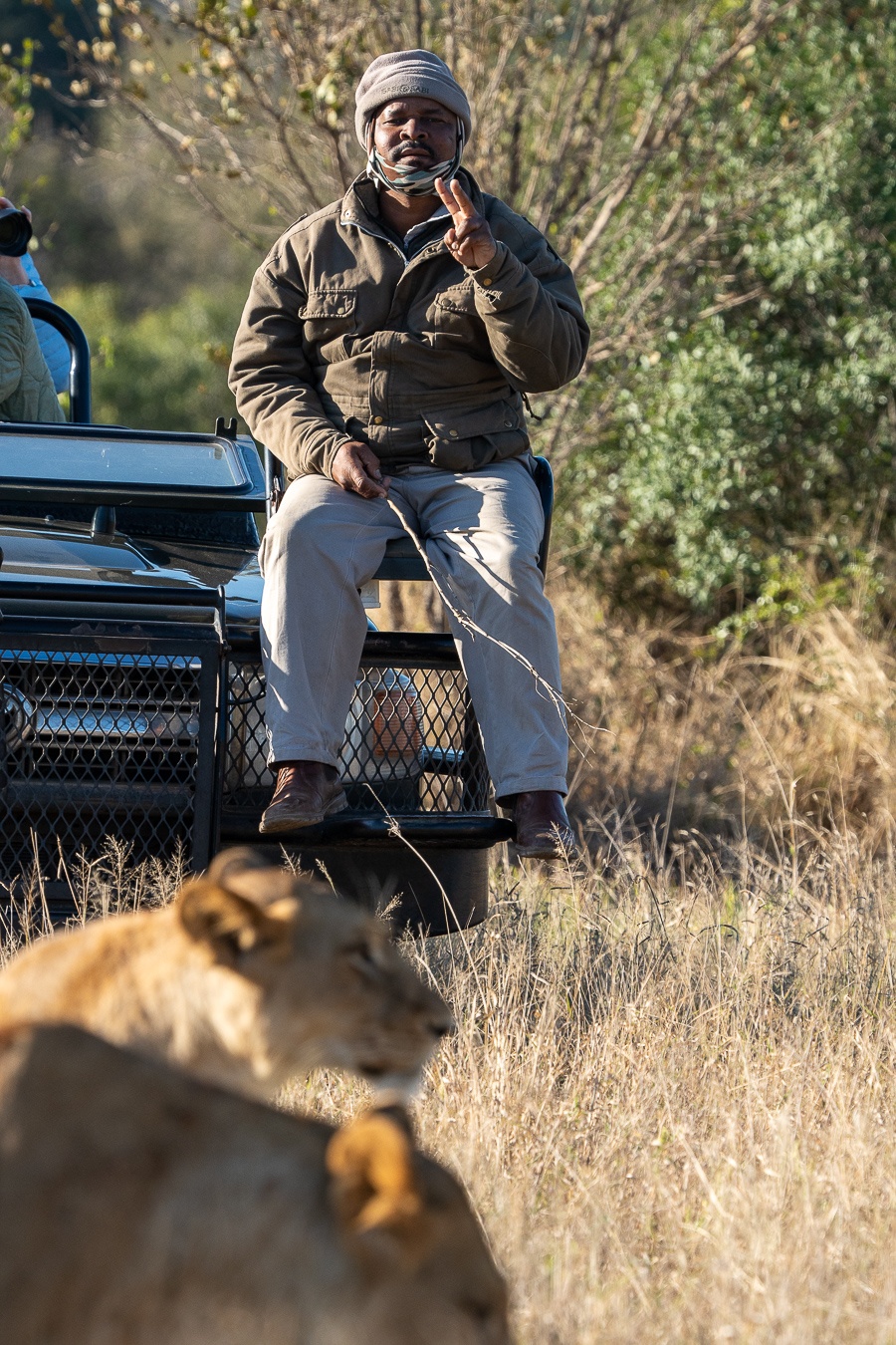 Dollen sits on the trackers seat as a pride of lions passes by. Dollen sits on the trackers seat as a pride of lions passes by.