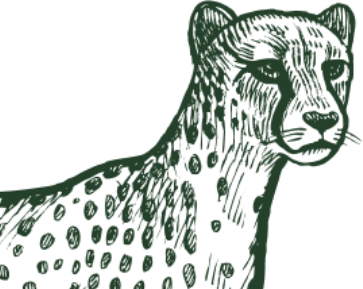 Bg Cheetah Face