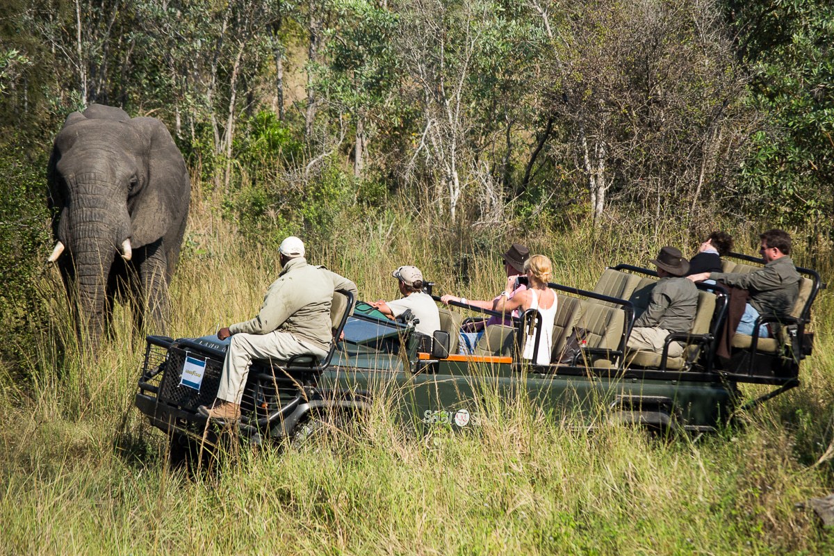 A Sabi Sabi safari vehicle stops to let guests watch an elephant walk through the thicket bush
