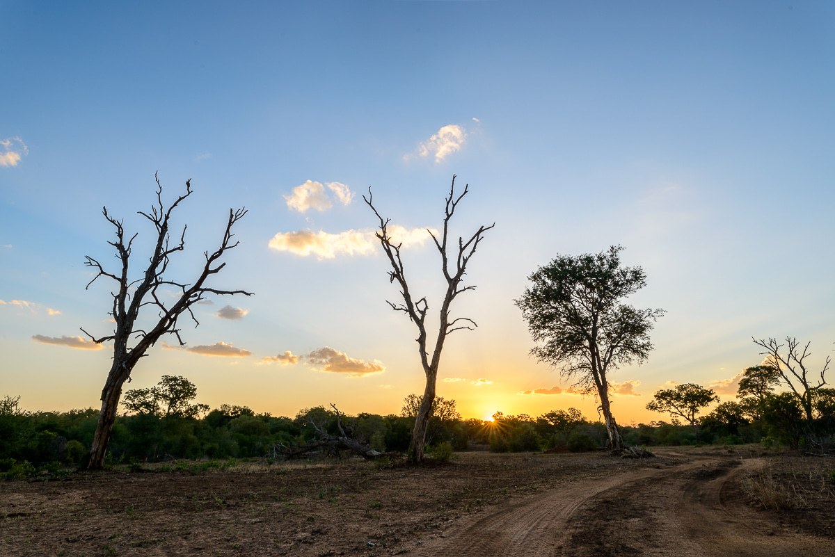 The sun on the horizon of a dry season landscape