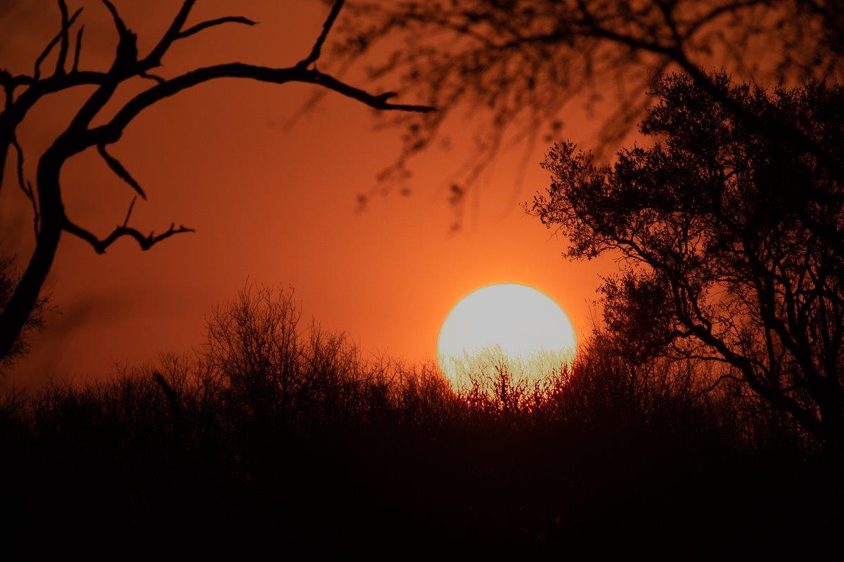 Sabi Sabi Ronald Mutero Sunset Sabi Sabi Ronald Mutero Sunset