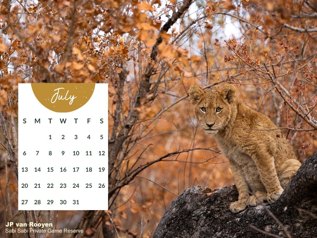 Sabi Sabi Desktop Calendar July 2025 1