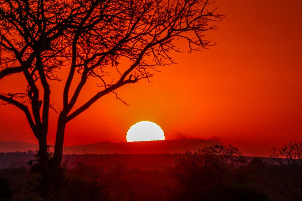 A breathtaking sunset over the African bush, with the golden and orange hues of the sky reflecting the end of another eventful day in the wild.