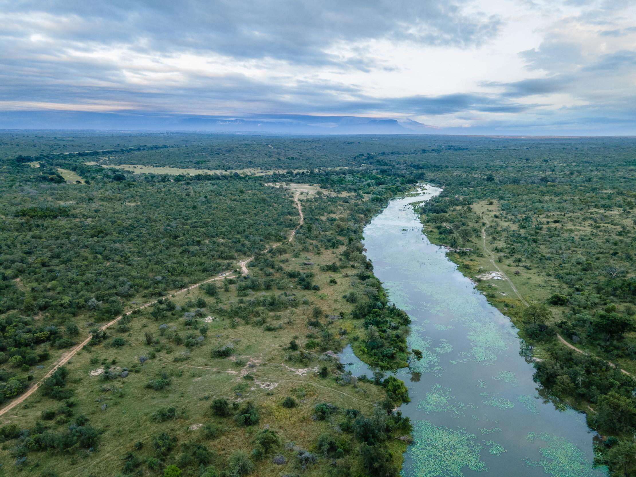Sabi Sabi Legacy Shaped Through Time Sandringham