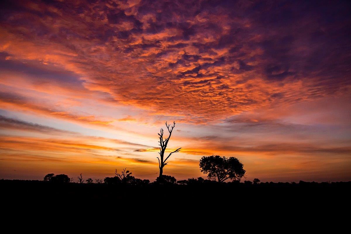 A49Devon Jansen Sunset 220423 A49Devon Jansen Sunset 220423