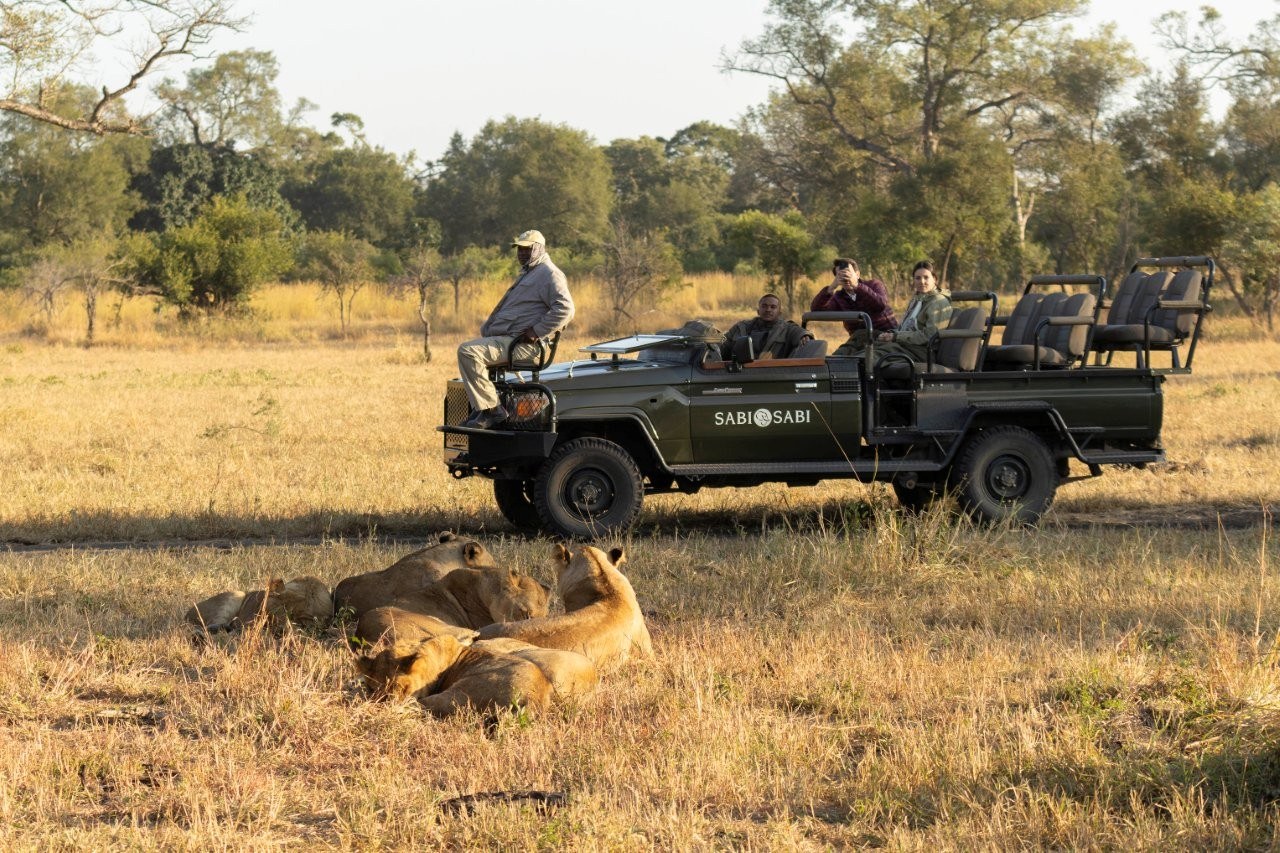 Sabi Sabi Benjamin Loon Msuthlu Pride Sabi Sabi Benjamin Loon Msuthlu Pride