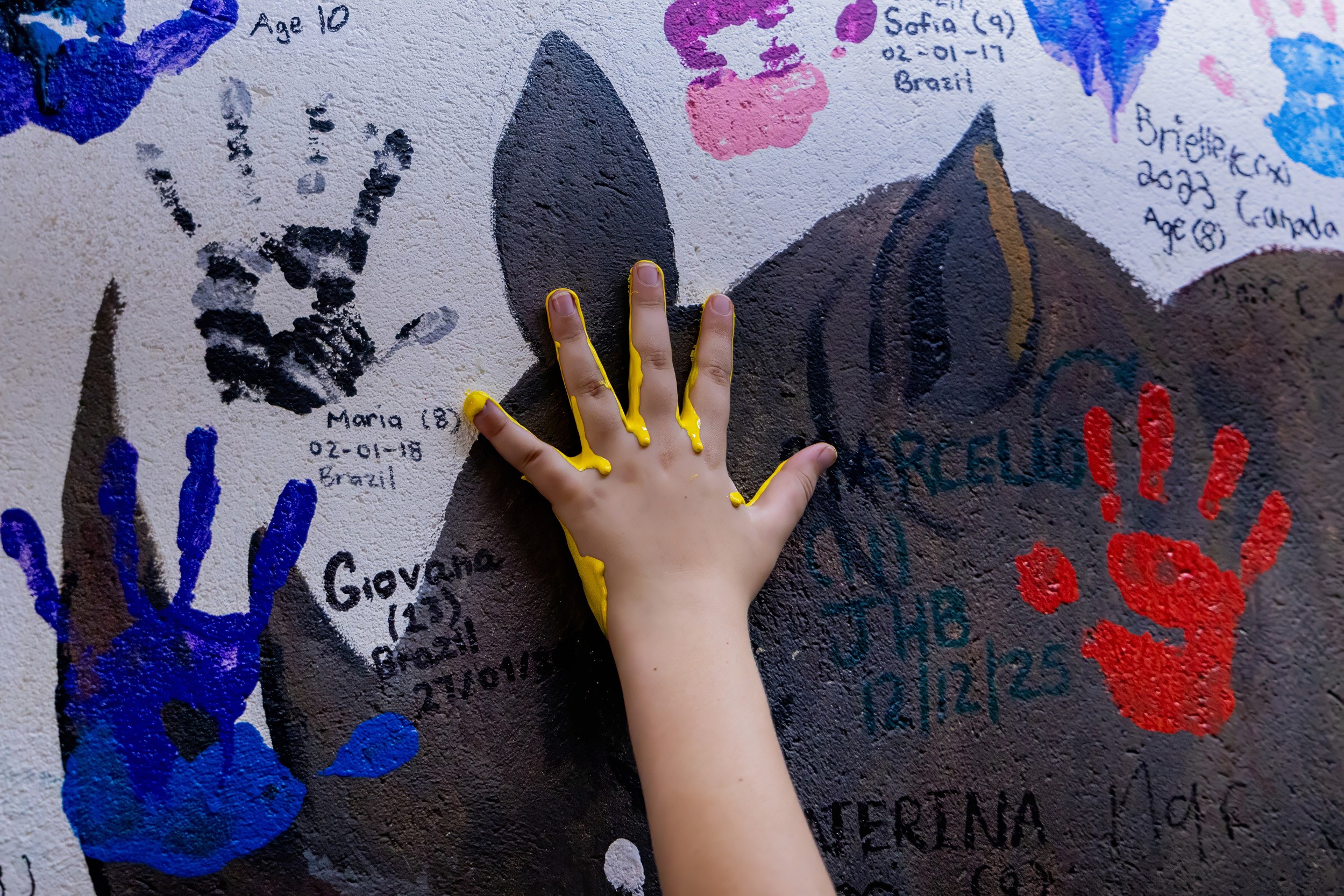 Sabi Sabi Generations In The Wild Children Arts