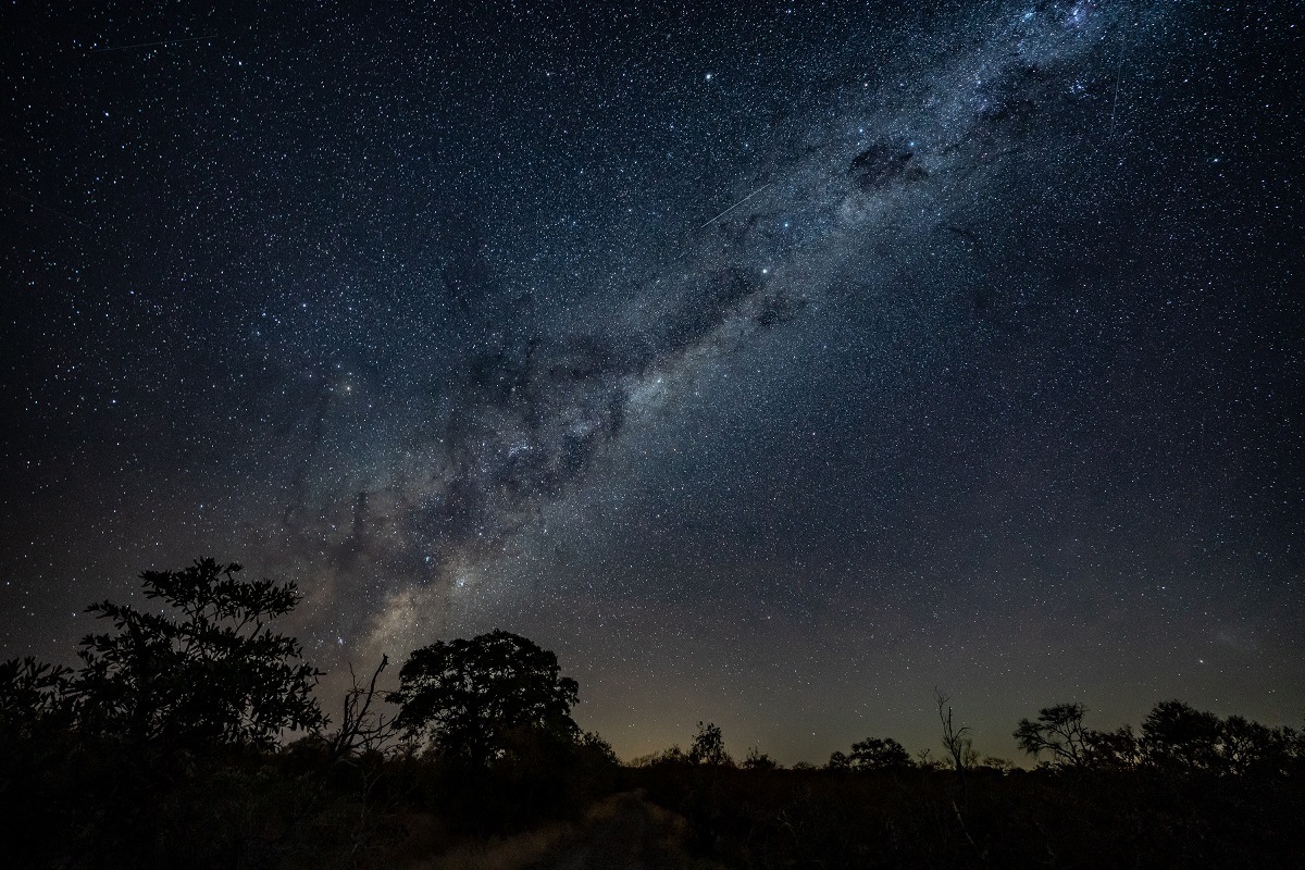 The Milky Way in all its splendour from Sabi Sabi. The Milky Way in all its splendour from Sabi Sabi.