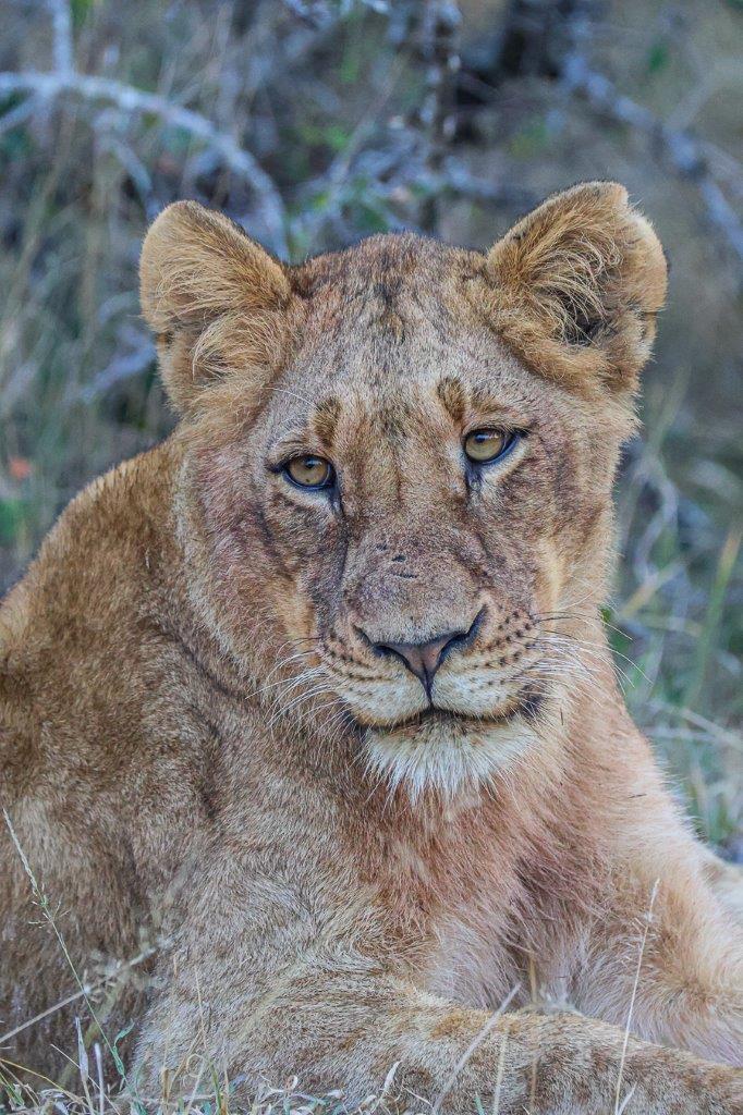 We watched them reunite We watched them reunite