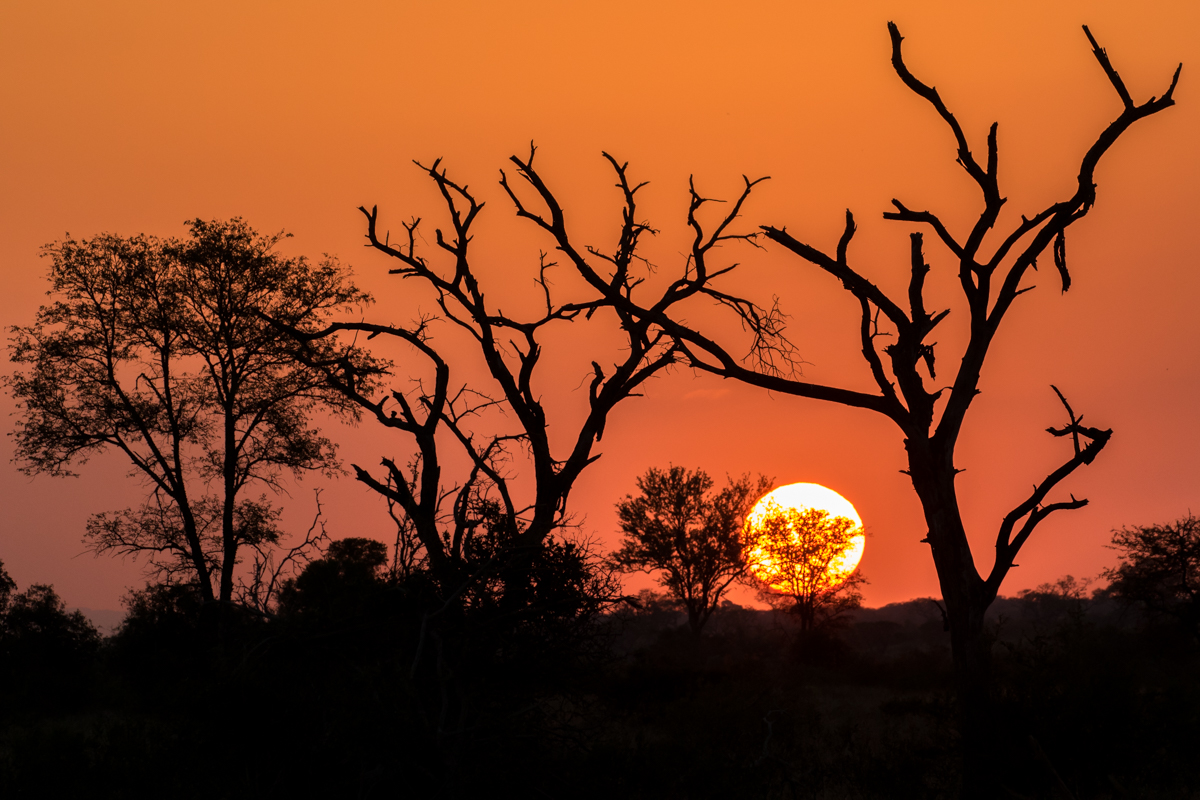 Landscapes  51