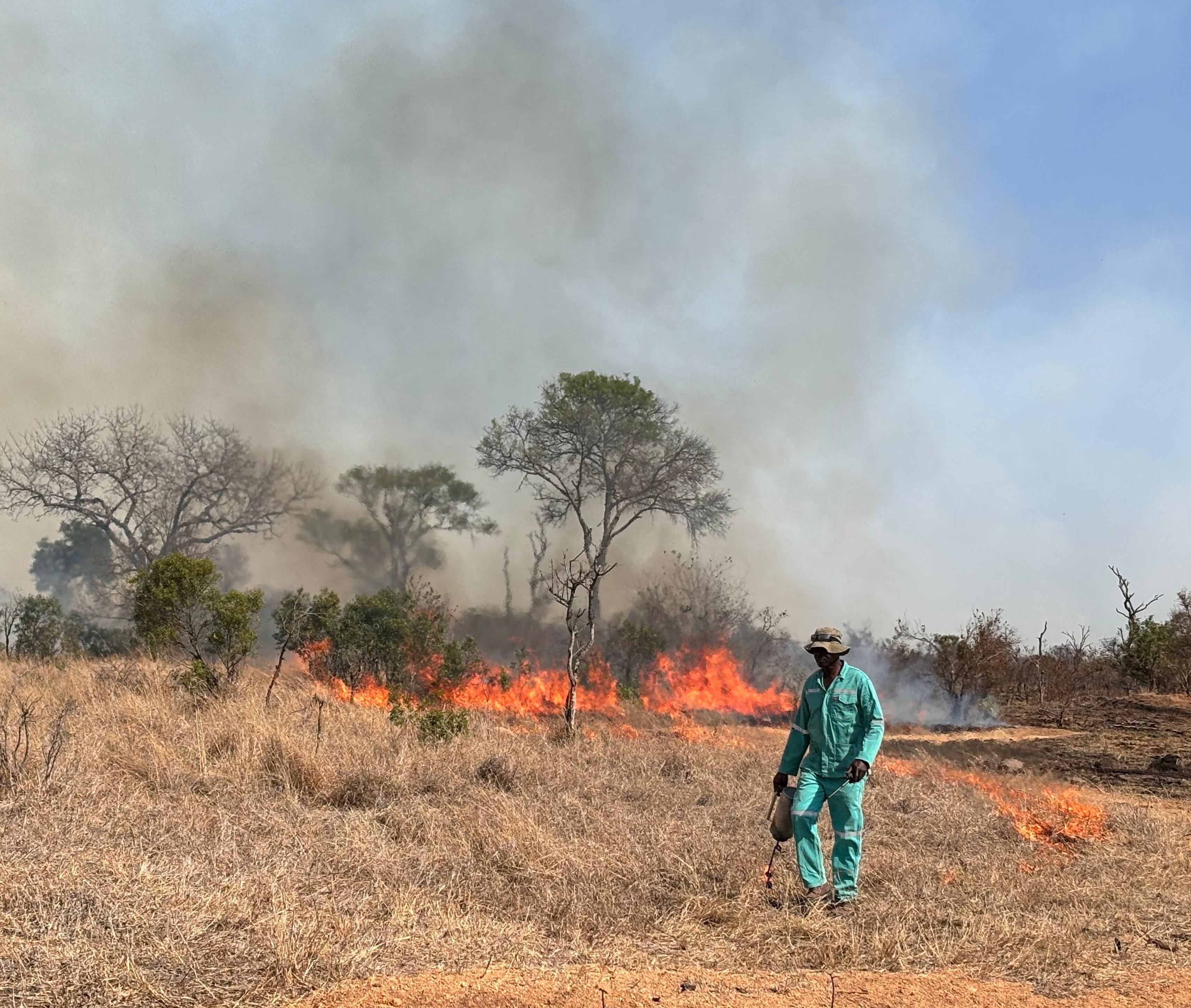A member of the team monitoring the perimeter of a controlled burn. A member of the team monitoring the perimeter of a controlled burn.