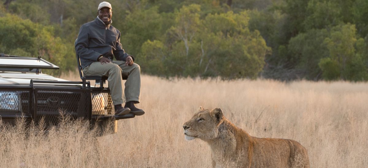 Sabi Sabi Tracker With Lion Sabi Sabi Tracker With Lion