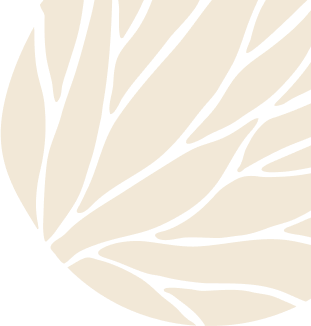 Page Banner Bgt 1 Page Banner Bgt 1