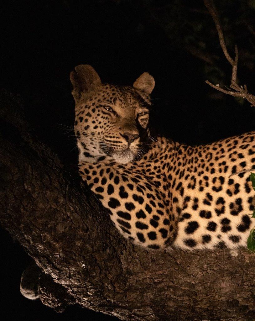 A30Jason Street   Ntsumi   190523   1