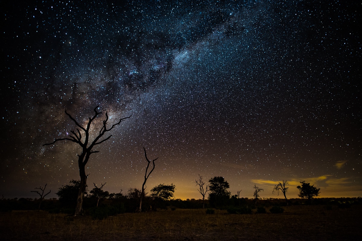 Night sky filled with stars at Sabi Sabi 
