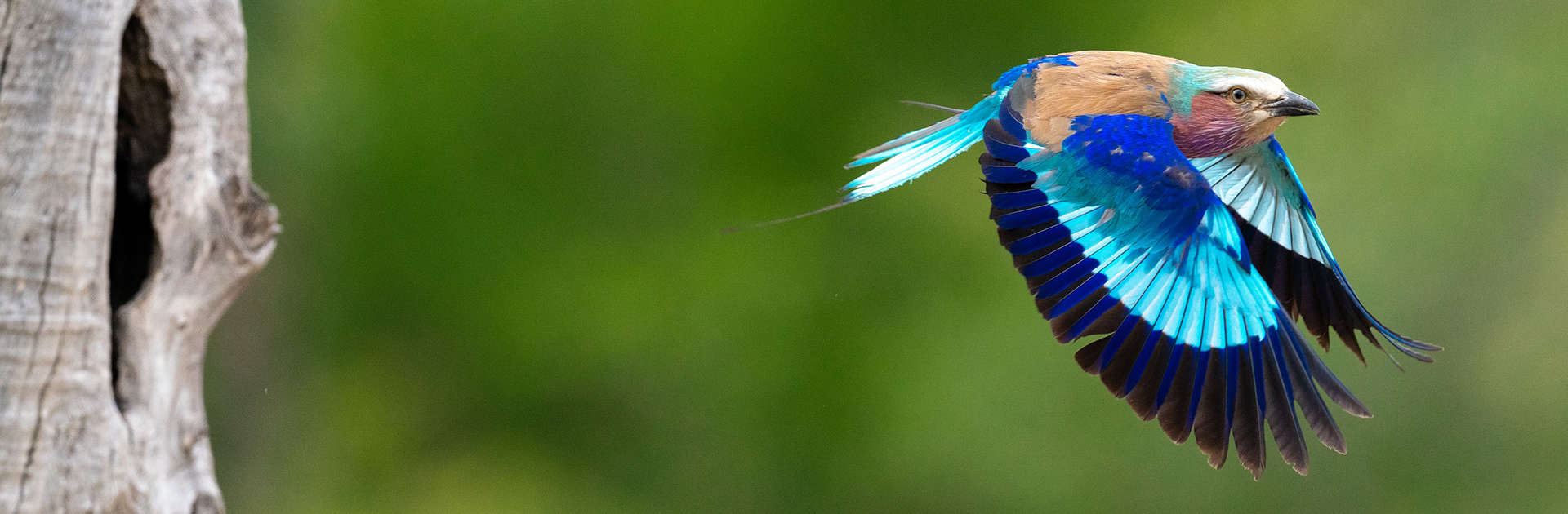 Marlon Du Toit November Visit With Sony 68banner