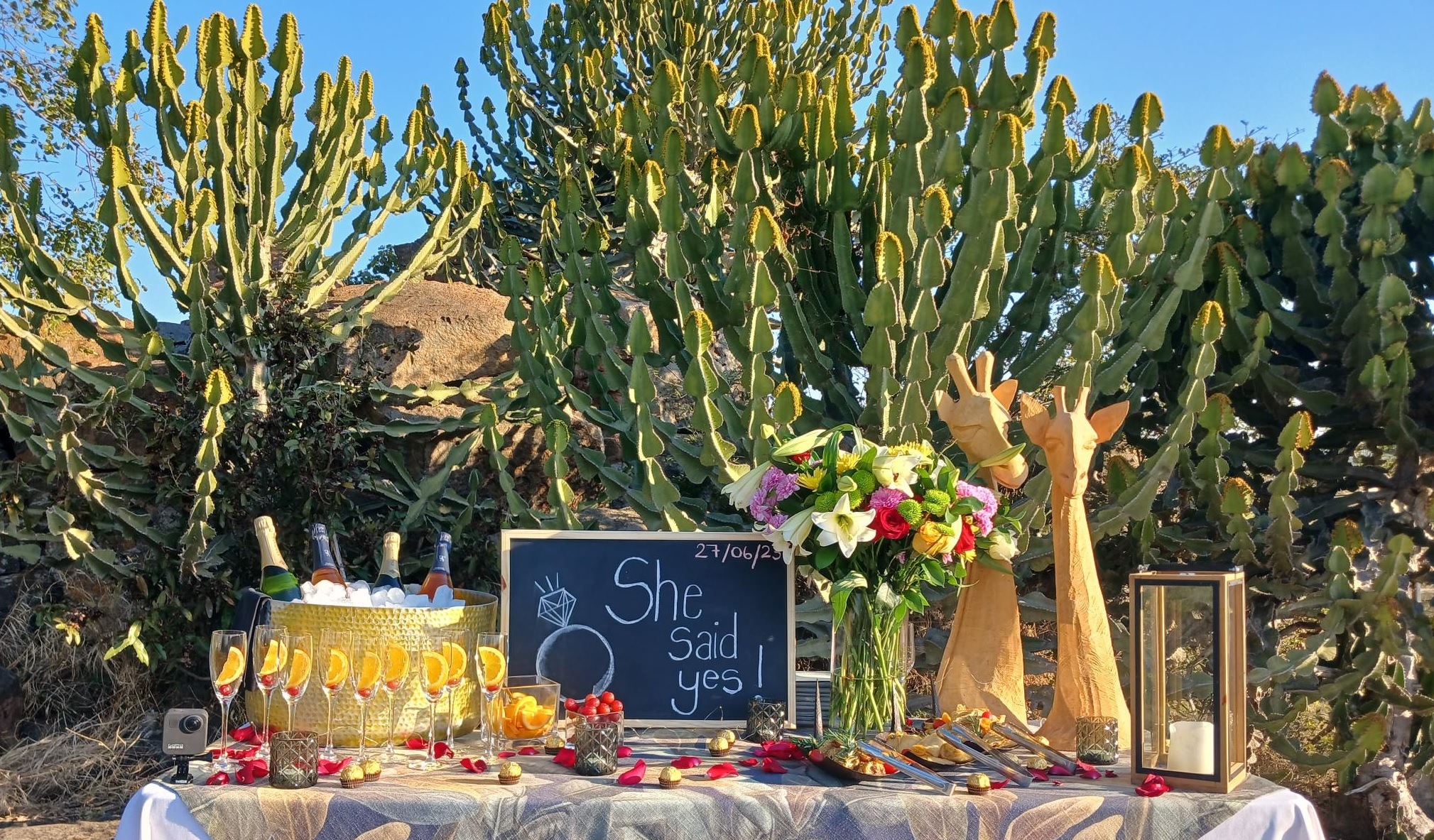 Sabi Sabi Wedding Proposals Private Picnic Sabi Sabi Wedding Proposals Private Picnic