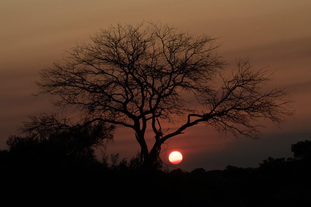 A34Jason Street   Sunset   151222.