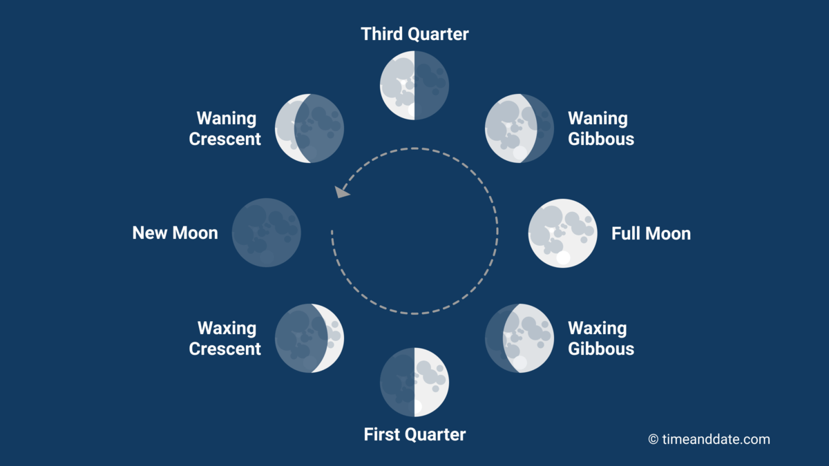 The Moon Phase explained. The Moon Phase explained.