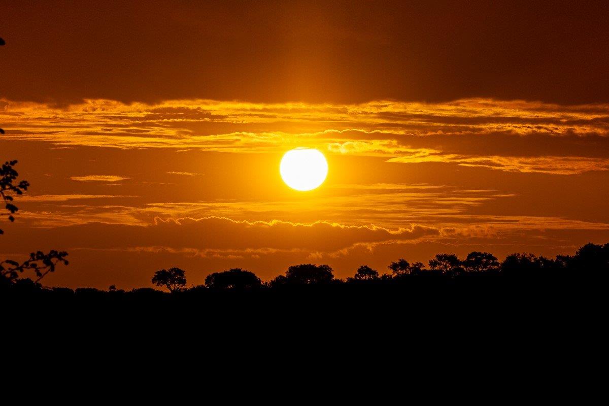 Another beautiful sunset witnessed by all at Sabi Sabi. Another beautiful sunset witnessed by all at Sabi Sabi.