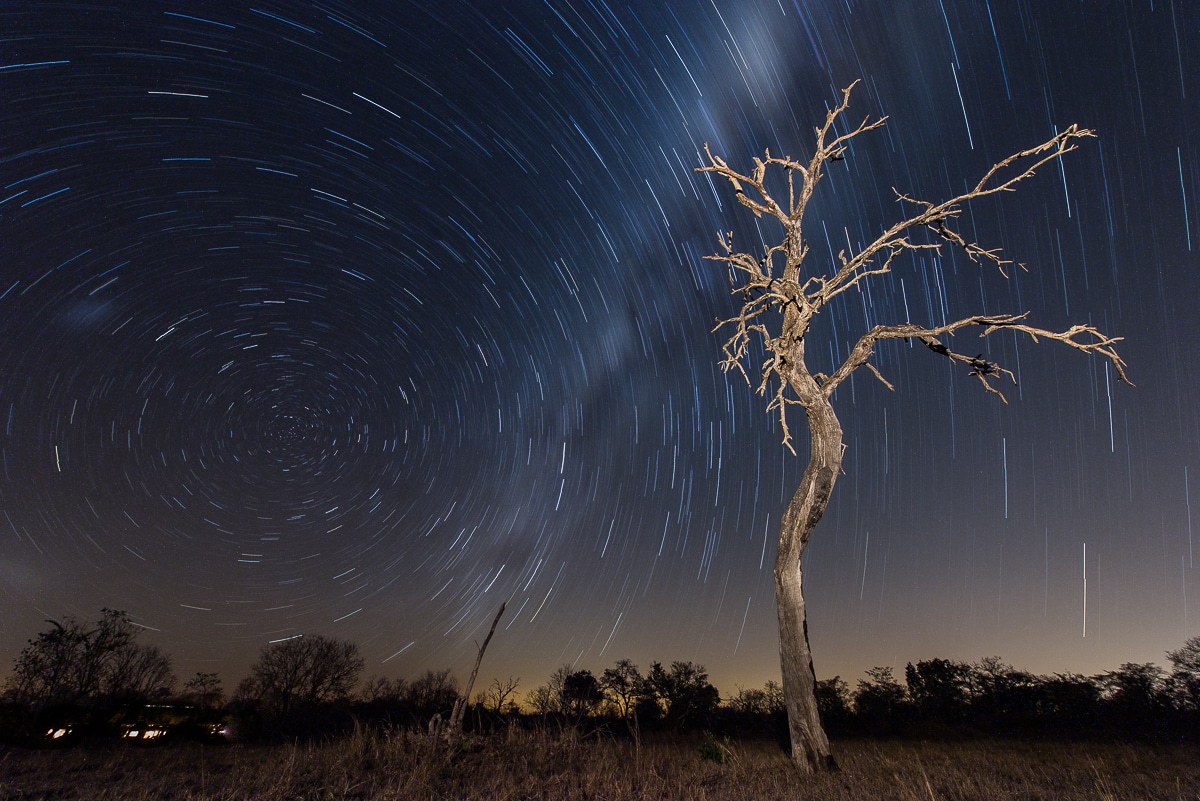 Star trails of light captured on a night sky at the reserve