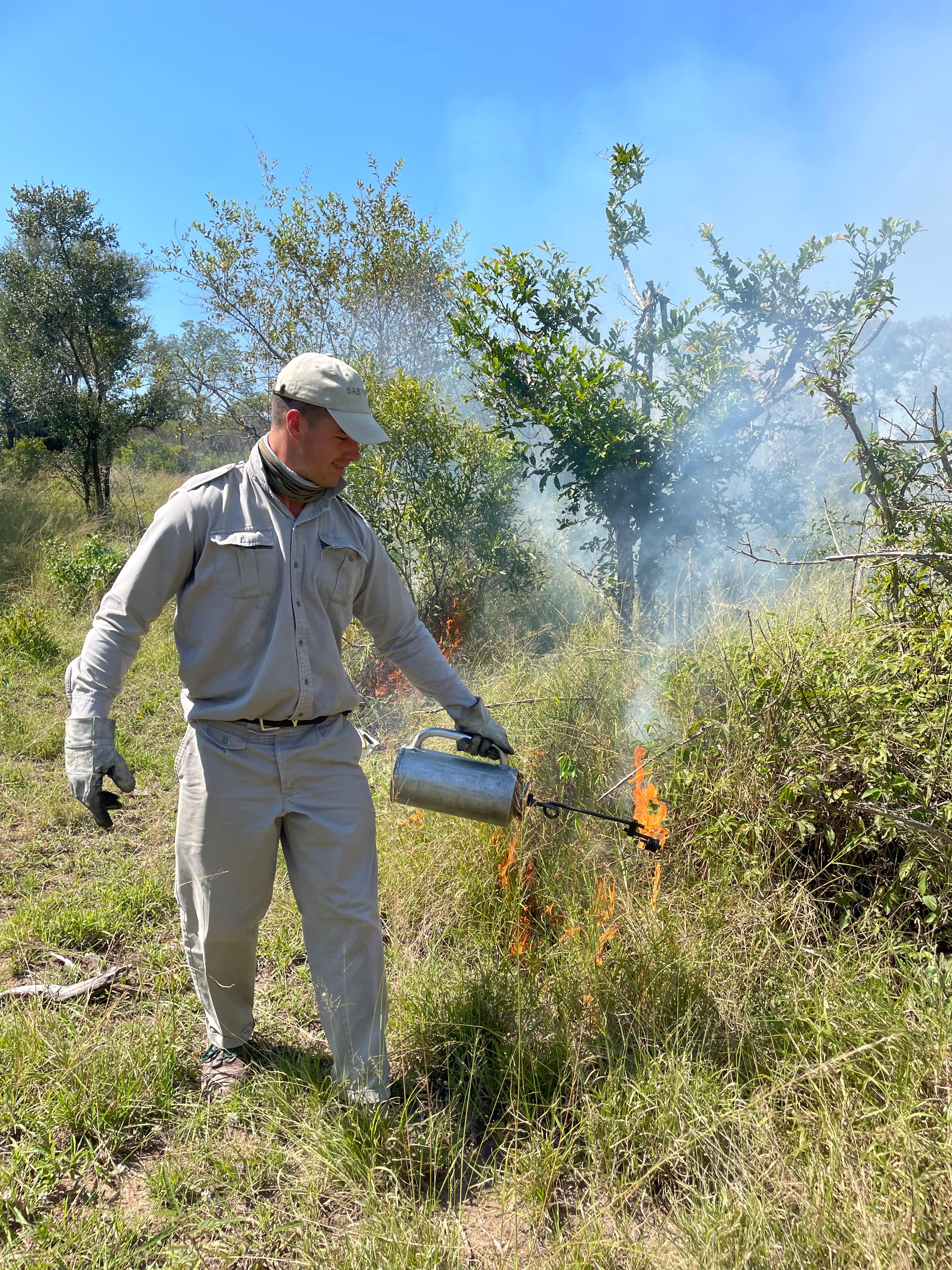 Igniting the fire using a driptorch. Igniting the fire using a driptorch.