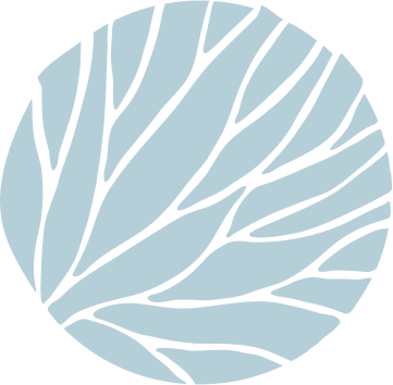 Bgt Full Sky Leaf