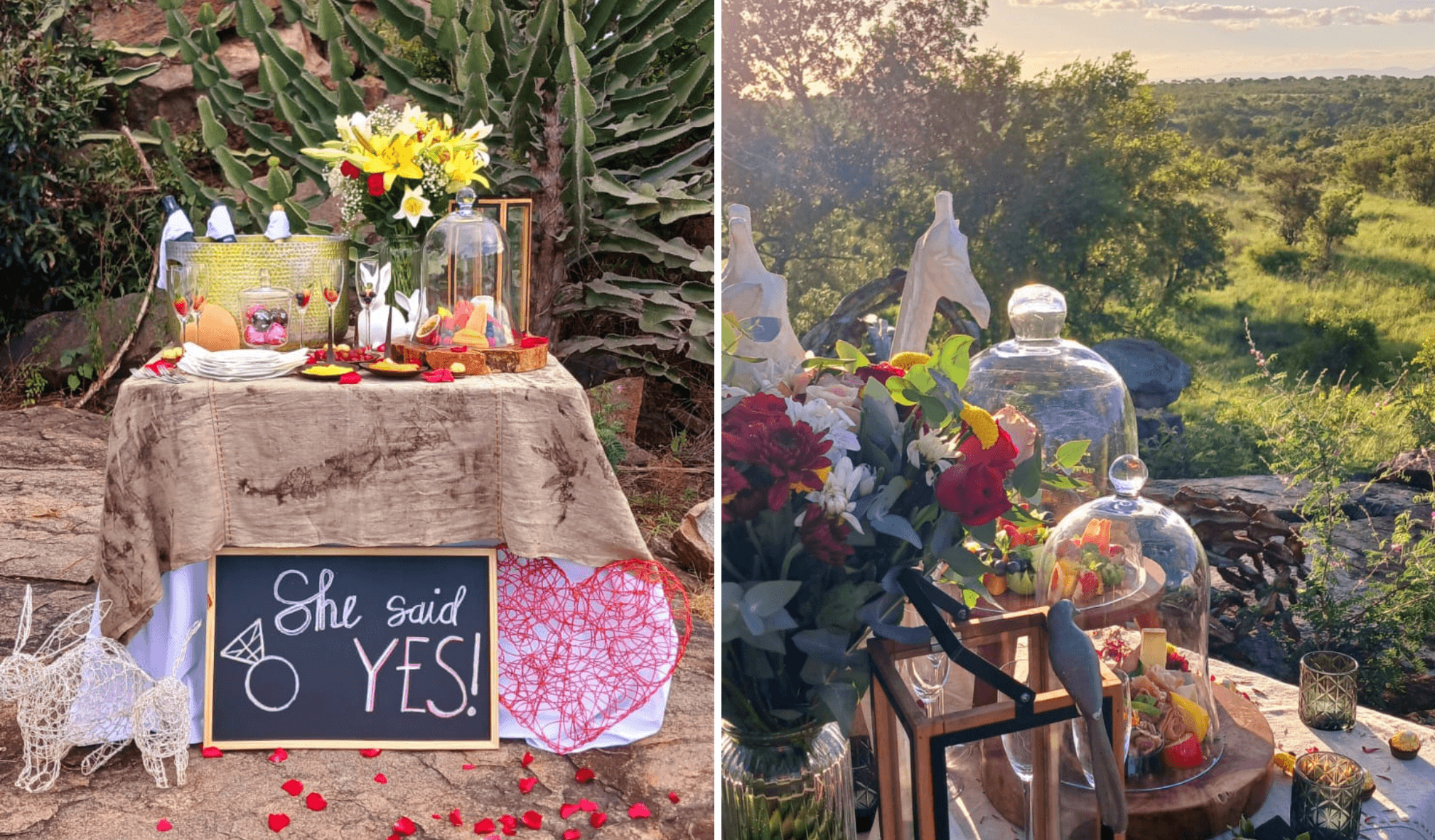Sabi Sabi Wedding Proposal Setup View Sabi Sabi Wedding Proposal Setup View