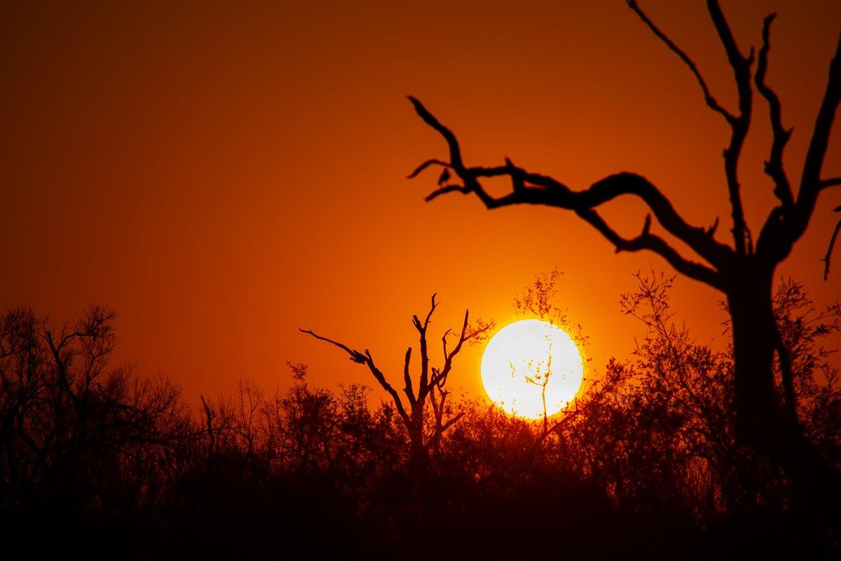Sabi Sabi Ronald Mutero Sunset Sabi Sabi Ronald Mutero Sunset