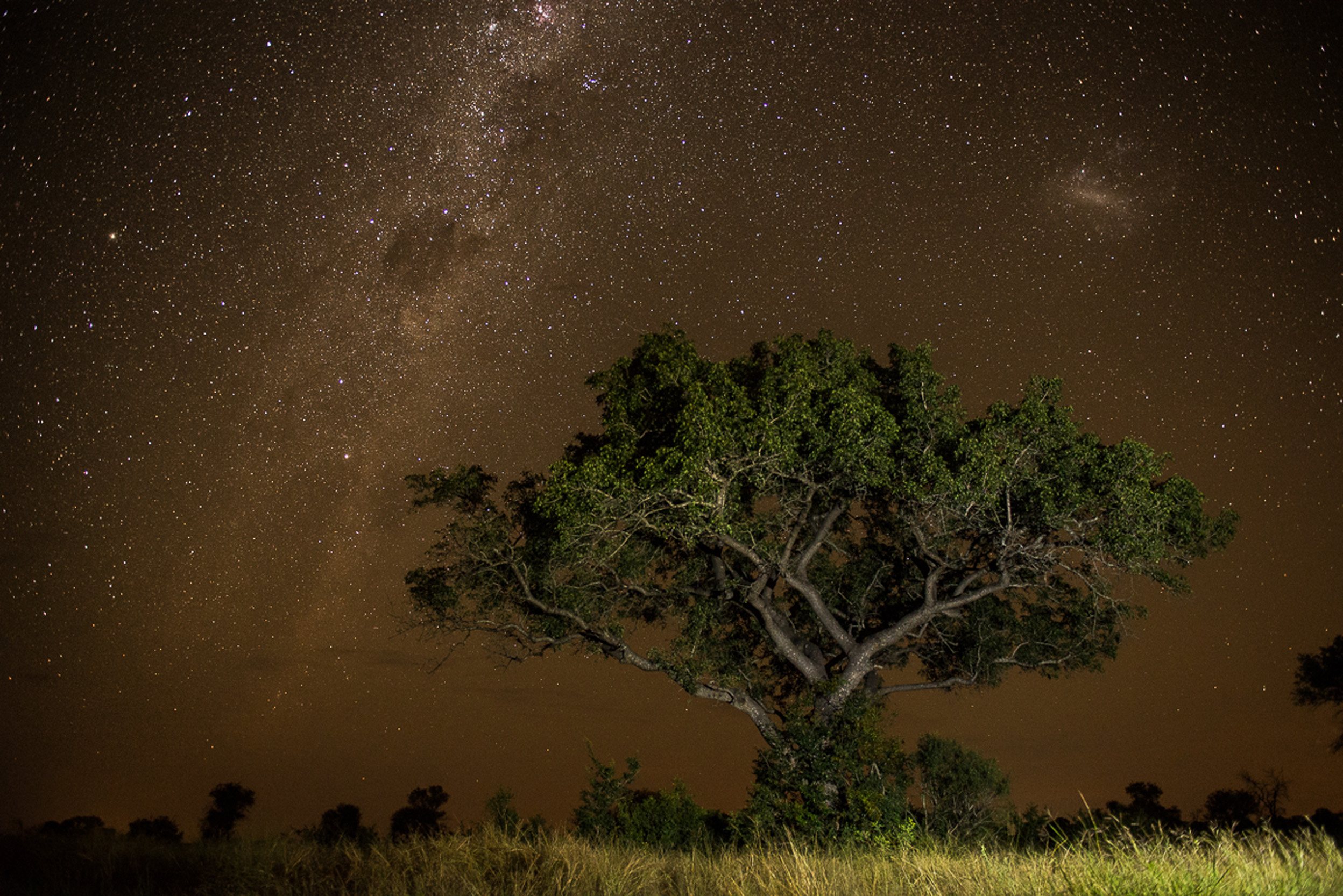 Sabi Sabi Transition Season Night Sky
