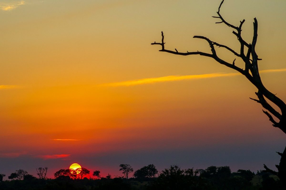 Colourful Lowveld sunset casting warm light across the African wilderness.