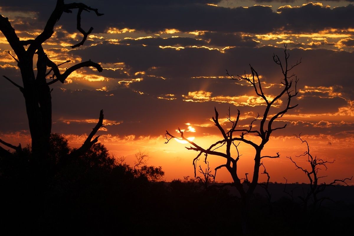 Early morning sunrise over the African bush as guests prepare for a safari with coffee before dawn.