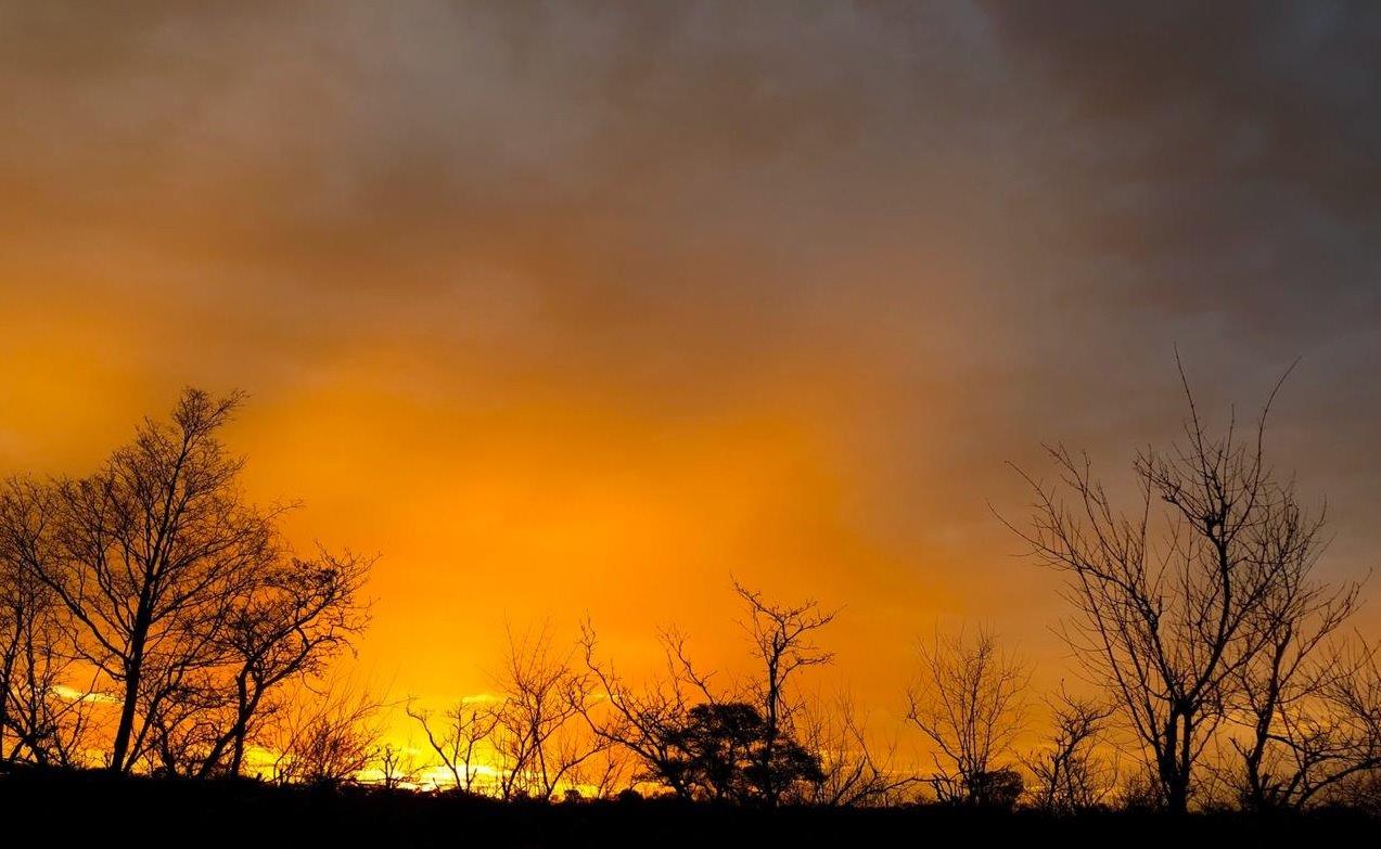 Another unique African sunset glows crimson and gold in the Greater Kruger. 