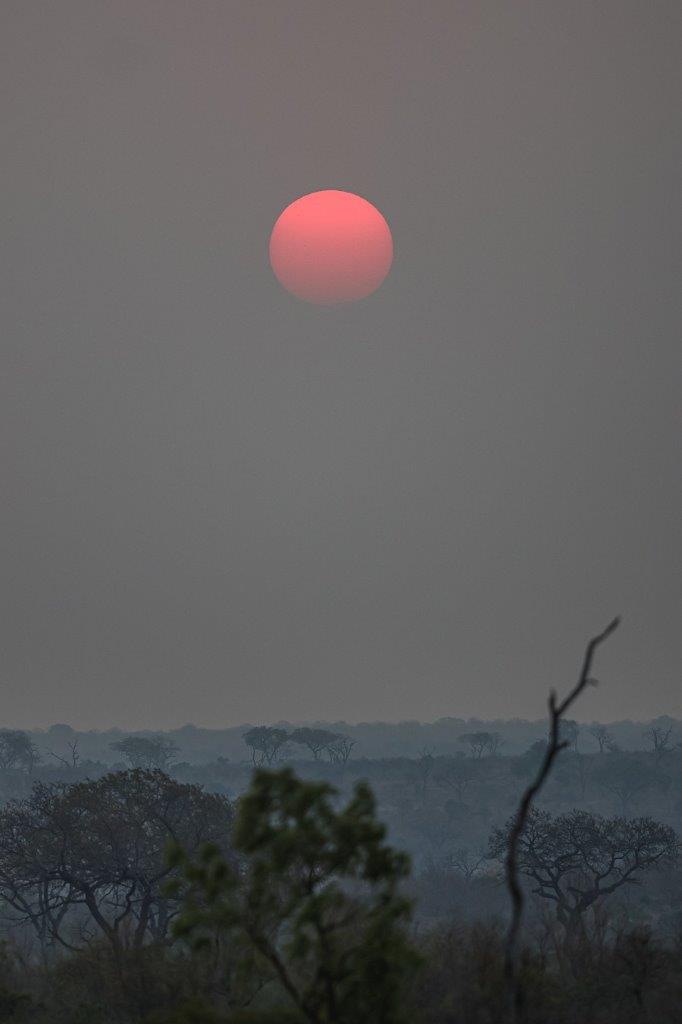 Another glorious sunset from Sabi Sabi. Another glorious sunset from Sabi Sabi.