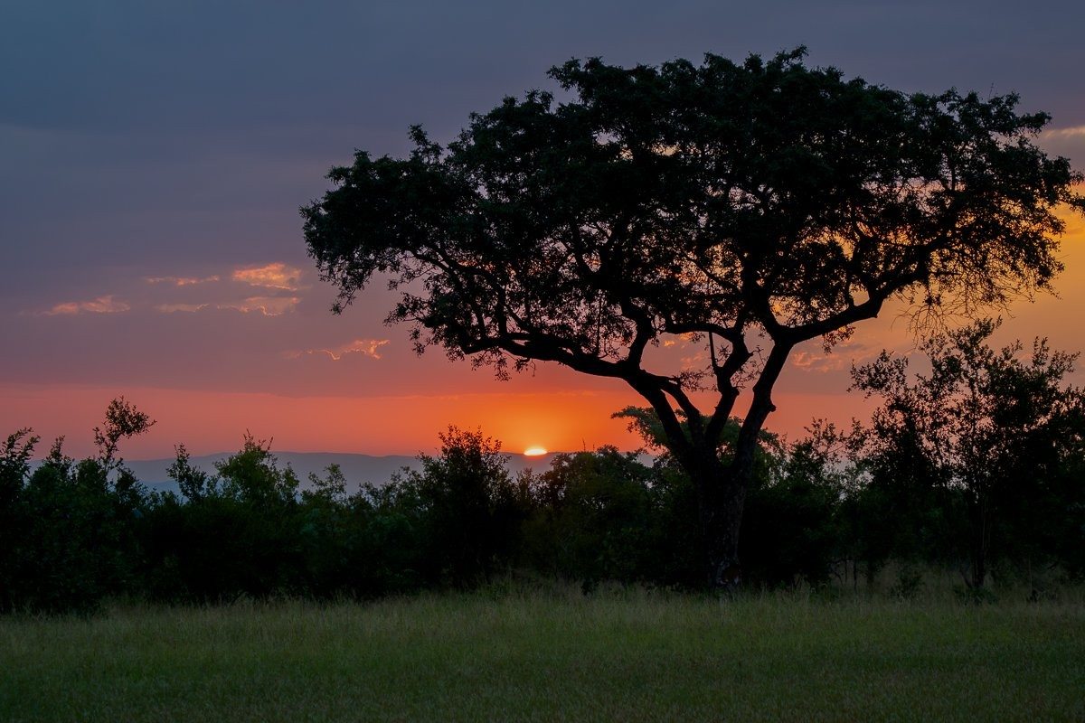 Sabi Sabi Franco Hay Sunset Sabi Sabi Franco Hay Sunset