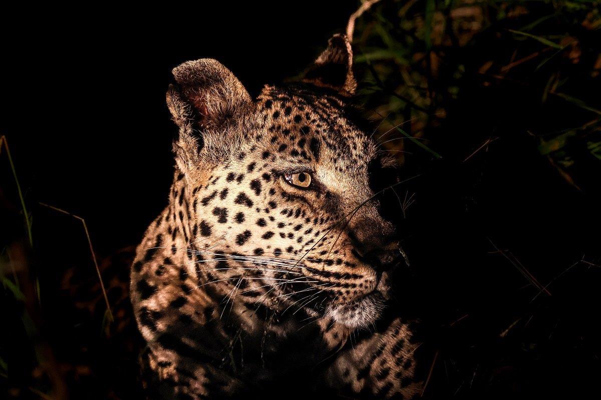 B16Coenraad Stapelberg Ntsumi 120423 1 B16Coenraad Stapelberg Ntsumi 120423 1
