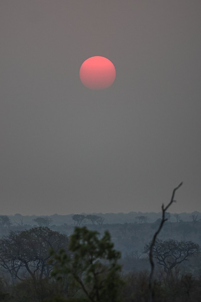 A dusty sunset experienced from Sabi Sabi. A dusty sunset experienced from Sabi Sabi.