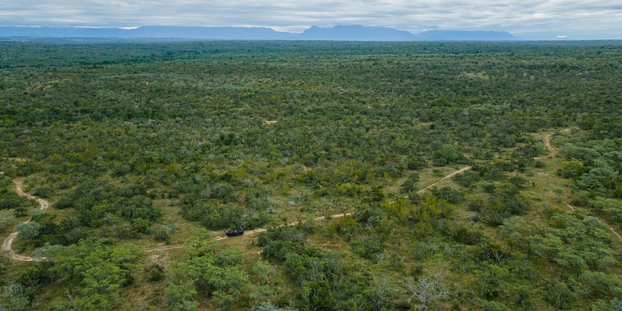 Sabi Sabi Stewardship In Action Sandrignham Aerial