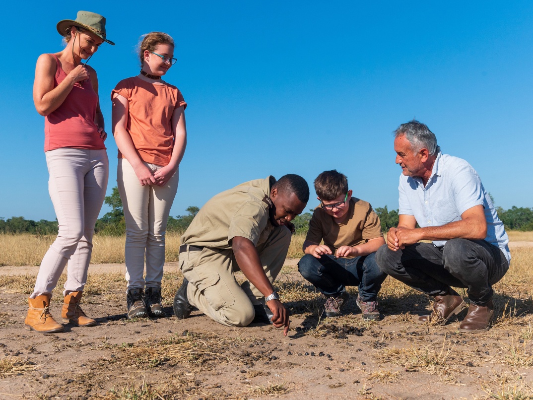 Sabi Sabi Experience Walking Safari Animal Tracking Sabi Sabi Experience Walking Safari Animal Tracking