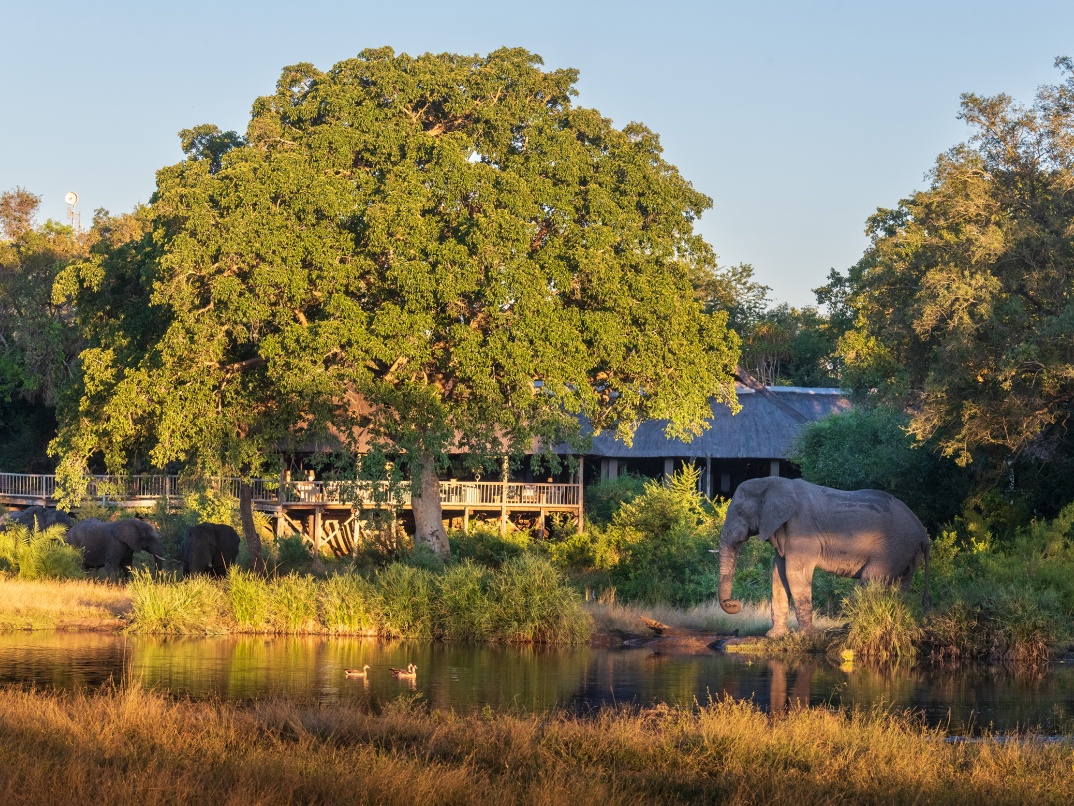 Sabi Sabi Package Family Video Thumbnail