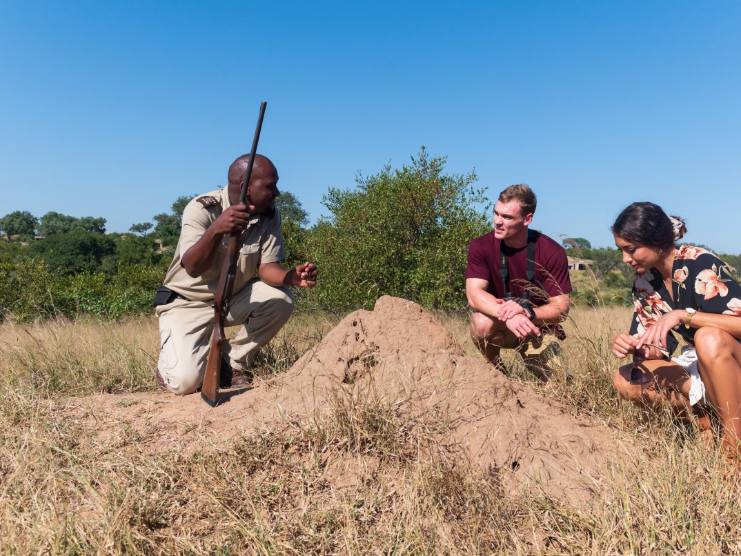 Safe safari walk with Sabi Sabi’s expert guide. Safe safari walk with Sabi Sabi’s expert guide.