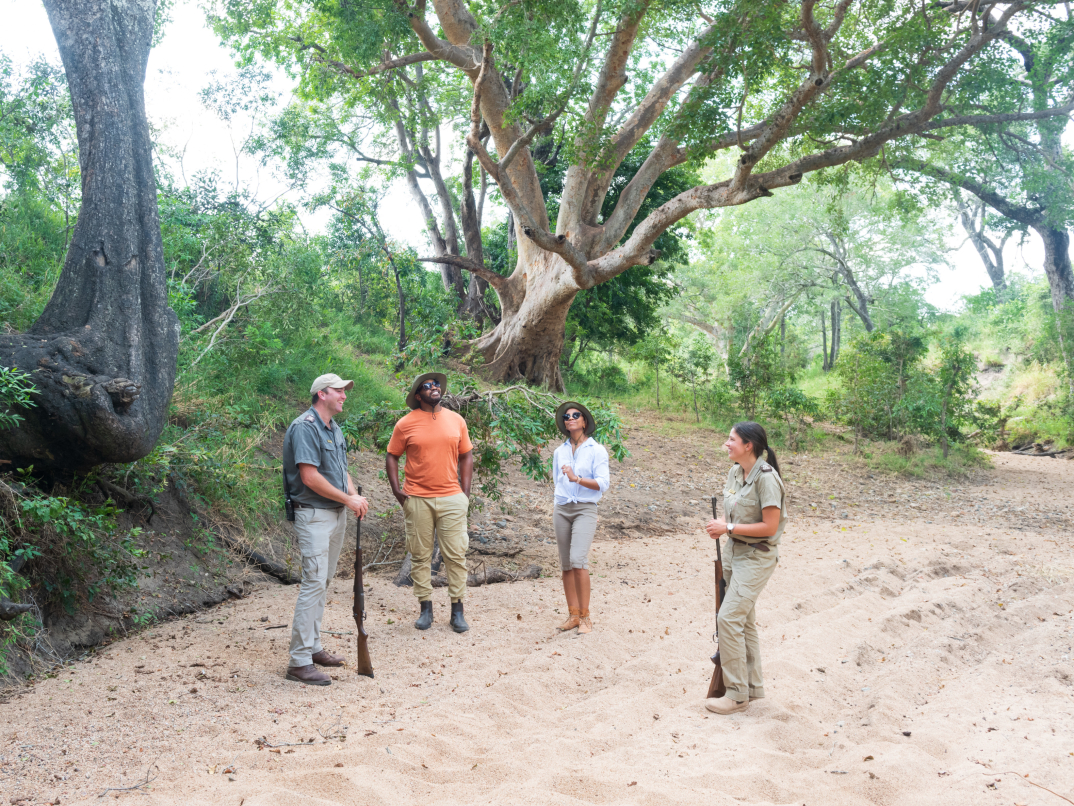 Sabi Sabi Experiences 5 Sabi Sabi Experiences 5